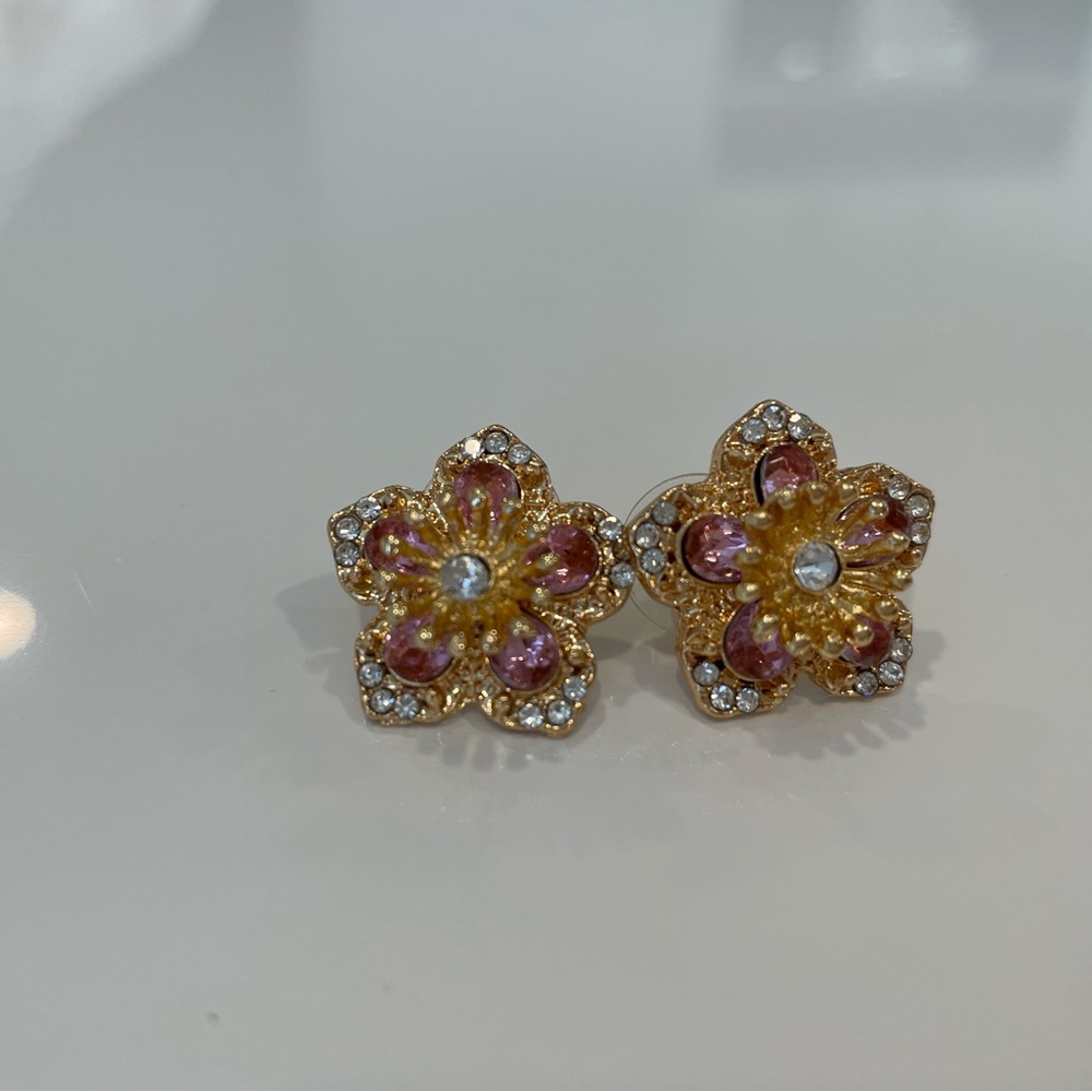 Fashion earrings